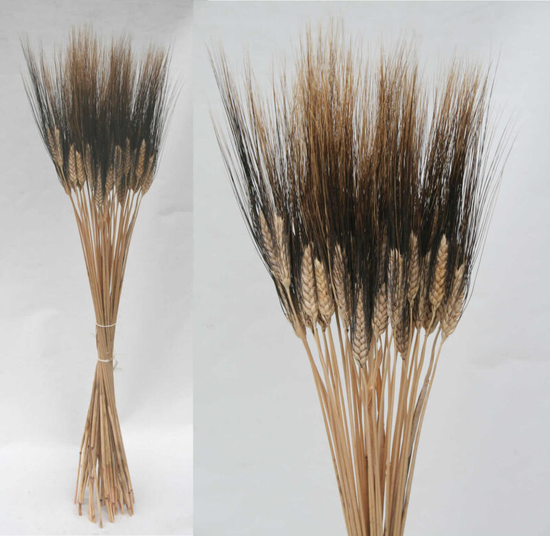 Trockenblumen Gesteck Blumen Zubehör dekoration Espiga Beige