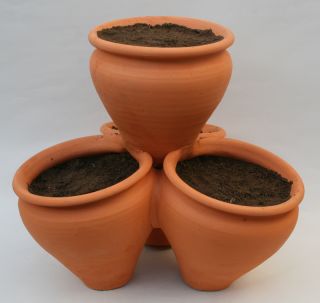 Kräutertopf terracotta