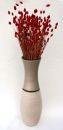 Blumenvase Keramik ca.60 CM INKL. Vaseneinsatz - verschiedene Farben Modell: Barriga Linda