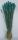 TROCKENBLUMEN WEIZEN SUNSET ca 70 CM