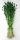 TROCKENBLUMEN "FEUERFUNKEN-2" - Größe: ca.70 CM